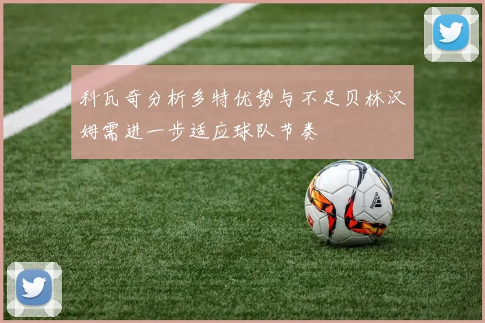 科瓦奇分析多特优势与不足贝林汉姆需进一步适应球队节奏
