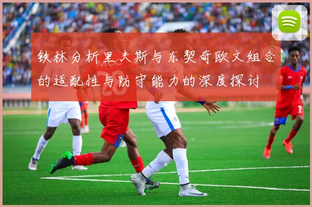铁林分析里夫斯与东契奇欧文组合的适配性与防守能力的深度探讨